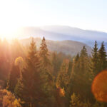 Spedition in Villingen Schwenningen online beauftagen